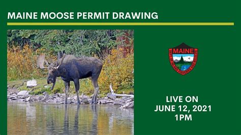 maine moose permit 2021.